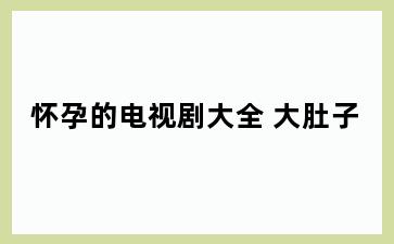 怀孕的电视剧大全 大肚子
